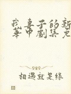 我妻子的新妈妈华中剧集免费观看