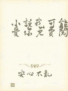 小说我可能不会爱你免费阅读封面