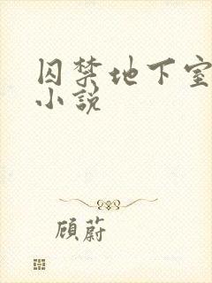 囚禁地下室调教小说