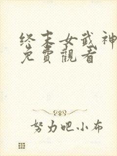 终末女武神全集免费观看封面