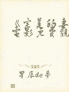 《完美的妻子》电影免费观看