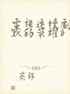 电视连续剧《沉默的荣耀》封面