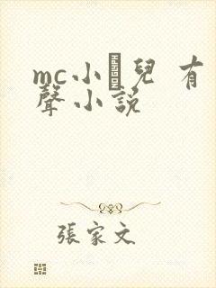 mc小苮儿 有声小说封面