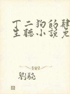 丁二狗的肆意人生听小说免费封面