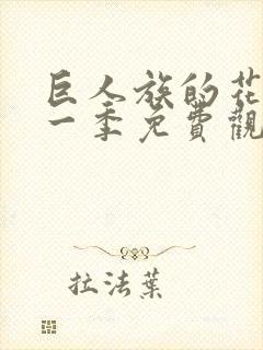 巨人族的花嫁第一季免费观看封面