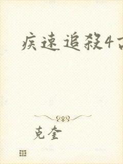 疾速追杀4高清