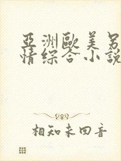 亚洲欧美另类激情综合小说封面