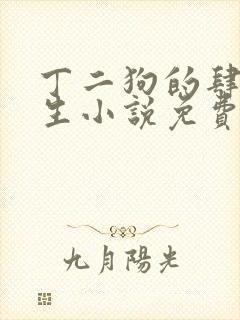 丁二狗的肆意人生小说免费阅读