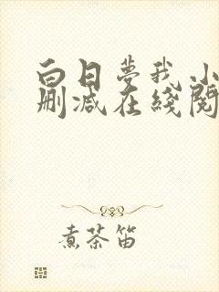 白日梦我小说无删减在线阅读