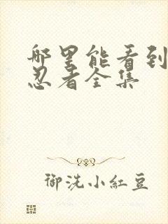 哪里能看到火影忍者全集封面