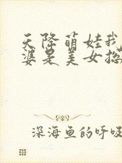 天降萌娃我的老婆是美女总裁短剧在线观看封面