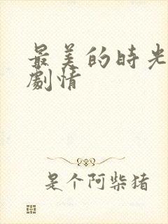 最美的时光全集剧情