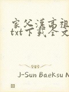 家父汉高祖小说txt下载全文封面