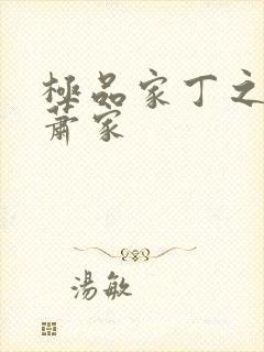 极品家丁之花开萧家封面