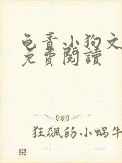 龟责小狗文全文免费阅读