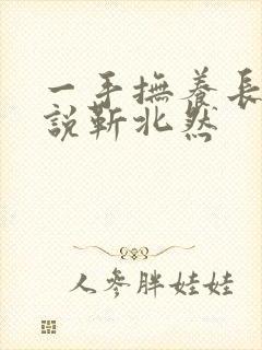 一手抚养长大小说靳北然封面