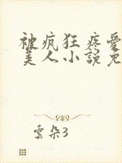 被疯狂疼爱的小美人小说免费阅读