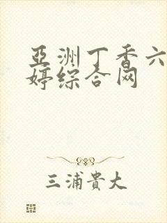 亚洲丁香六月婷婷综合网