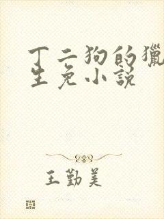 丁二狗的猎艳人生免小说封面