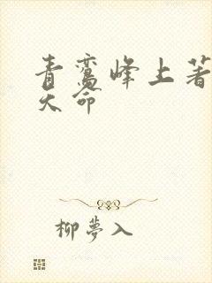 青鸾峰上著无敌天命封面