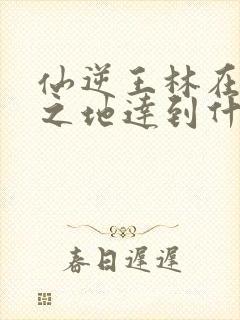 仙逆王林在妖灵之地达到什么境界