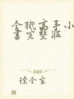 全职高手小说听书完整版