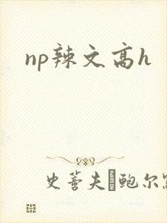 np辣文高h