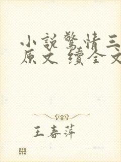 小说惊情三十天原文 续全文封面