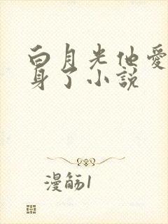 白月光他爱上替身了小说