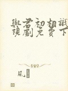 与君初相识 电视剧免费下载封面