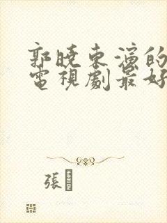 郭晓东演的哪部电视剧最好看