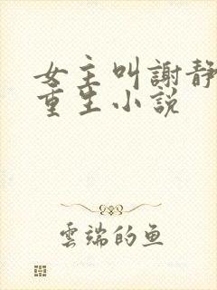 女主叫谢静姝的重生小说封面