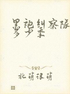 黑袍纠察队一共多少季