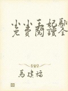 小小王妃驯王爷免费阅读全文