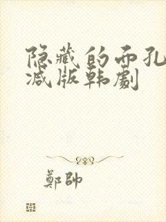 隐藏的面孔未删减版韩剧