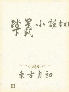 踏星小说txt下载