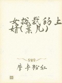 女总裁的上门女婿(叶凡)封面