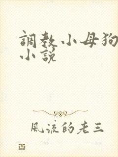 调教小母狗sp小说
