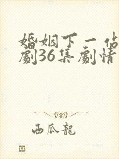 婚姻下一站电视剧36集剧情免费观看