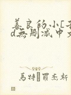 善良的小[子hd无删减中文