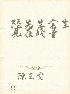 陆先生余生不再见在线看