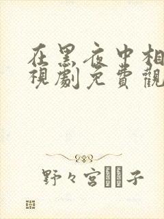 在黑夜中相拥电视剧免费观看