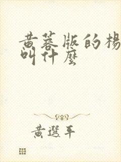 黄蓉版的杨贵妃叫什么