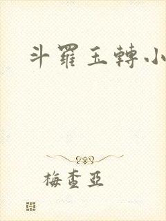 斗罗玉转小说封面