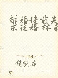 离婚后前夫哭着求复婚 林未央封面