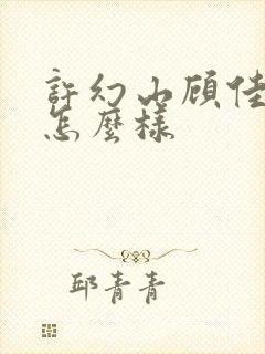 许幻山顾佳结局怎么样封面