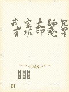 我家大师兄脑子有坑印飞星图片封面