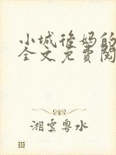 小城后妈的春天全文免费阅读小说