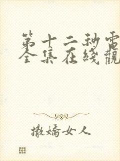 第十二秒电视剧全集在线观看免费