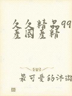 久久精品99国产国产精